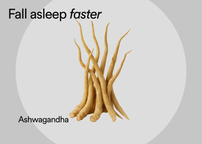 Sleep